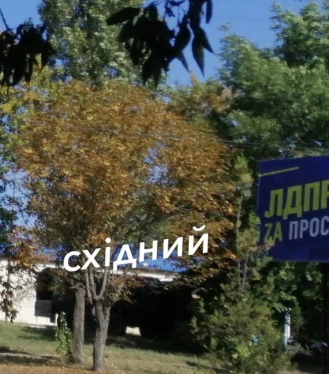 Кадіївка. АТБ на Проспекті до “прильоту”. Фото: Телеграм-канал “Східний”.