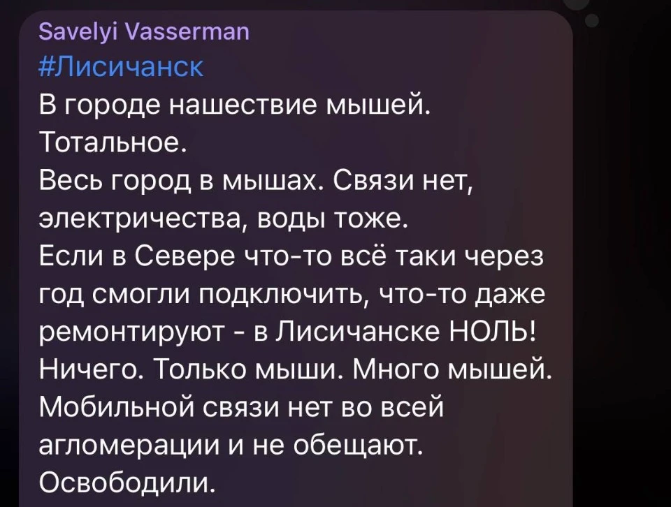 поідомлення про засилля мишей в Лисичанську