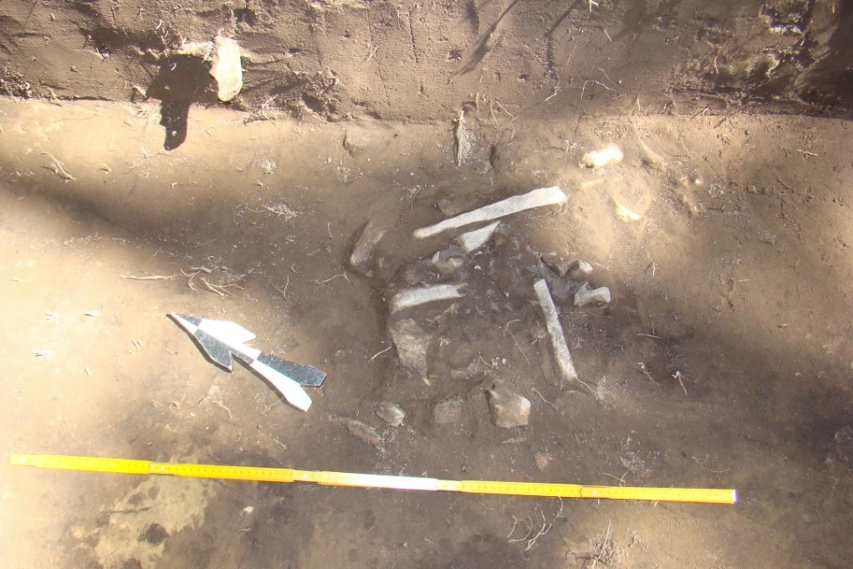 Об'єкт з кістками епохи середньовіччя