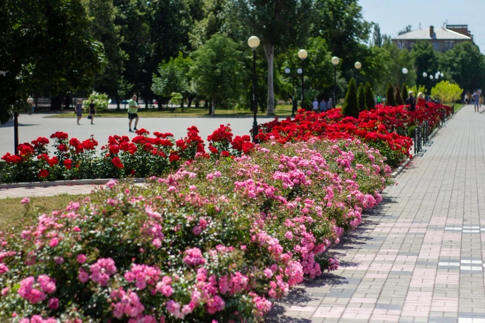 Фото: Бахмутська міська рада