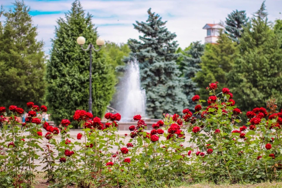 Фото: Бахмутська міська рада