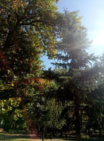 Бахмутський центральний нижній парк