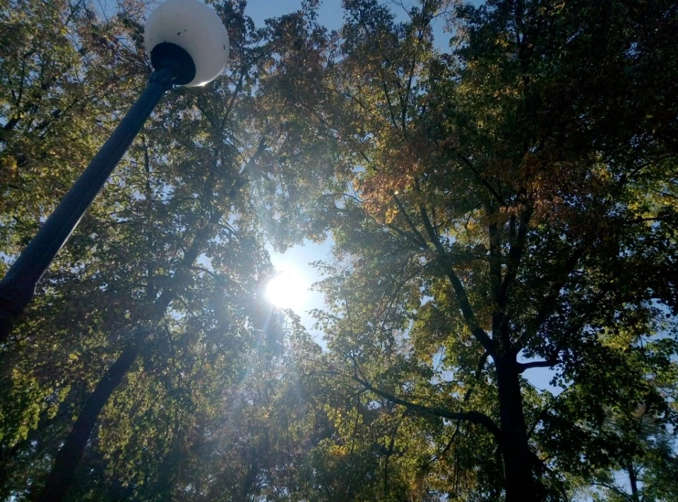 Бахмутський центральний нижній парк