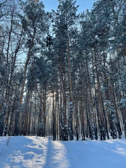 Рубіжне. З архіву Єлісея Ткаченка