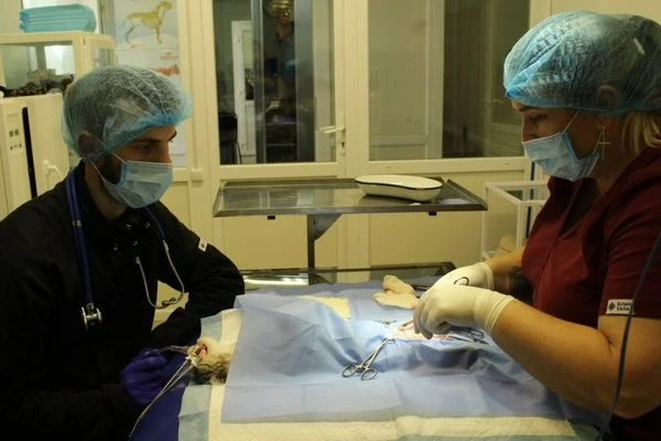 Хирургия – специализация Яны Кунченко