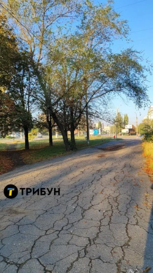 Фото: ТРИБУН