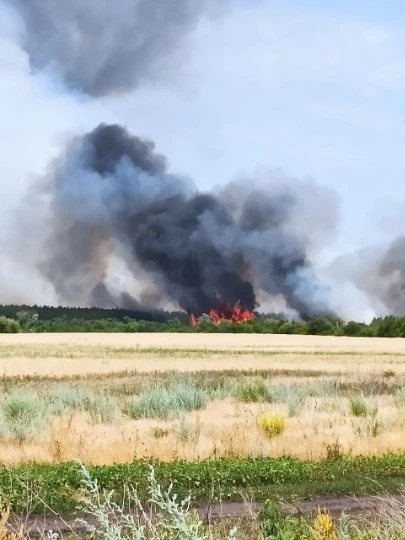 Поля “Візир та Хміль” горять від артобстрілів