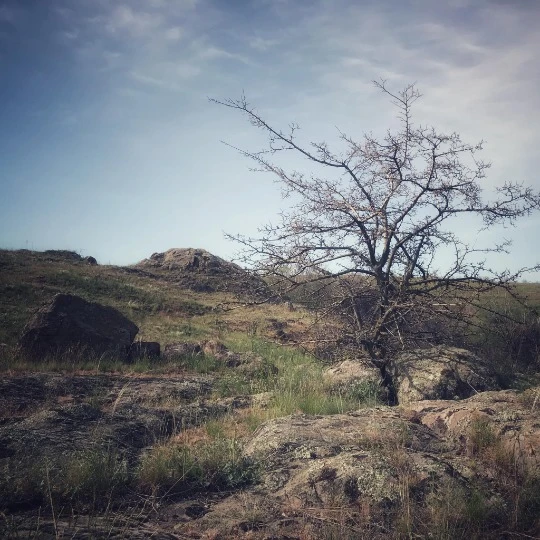 З архіву фотографа Сергія Орлика