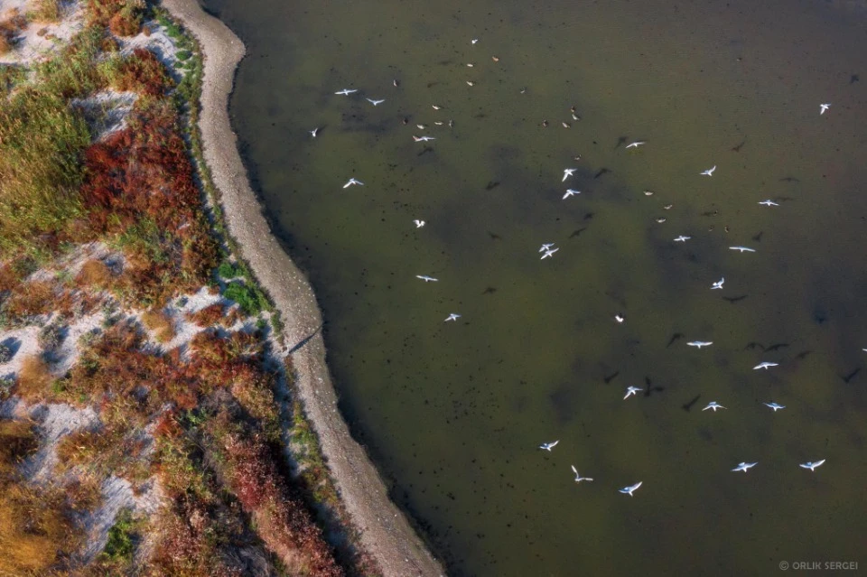 З архіву фотографа Сергія Орлика