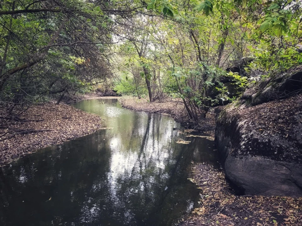 З архіву фотографа Сергія Орлика