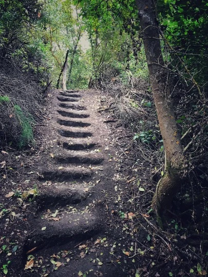 З архіву фотографа Сергія Орлика