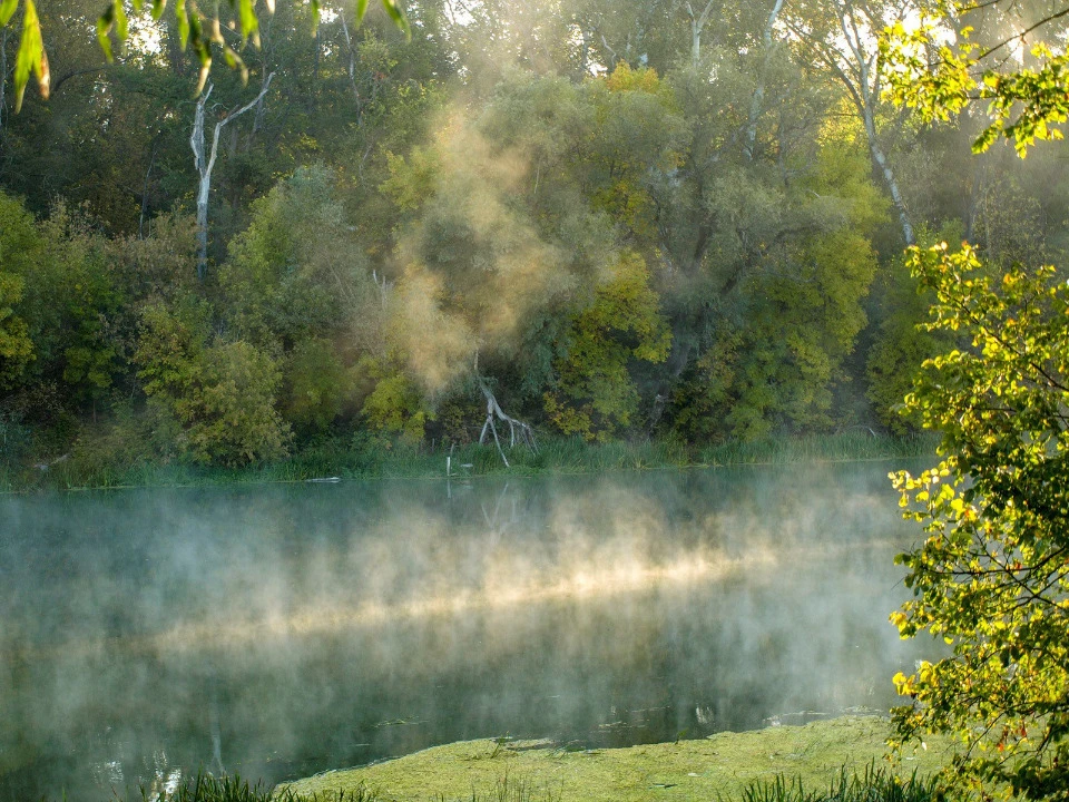 Фото: Влад Дубров