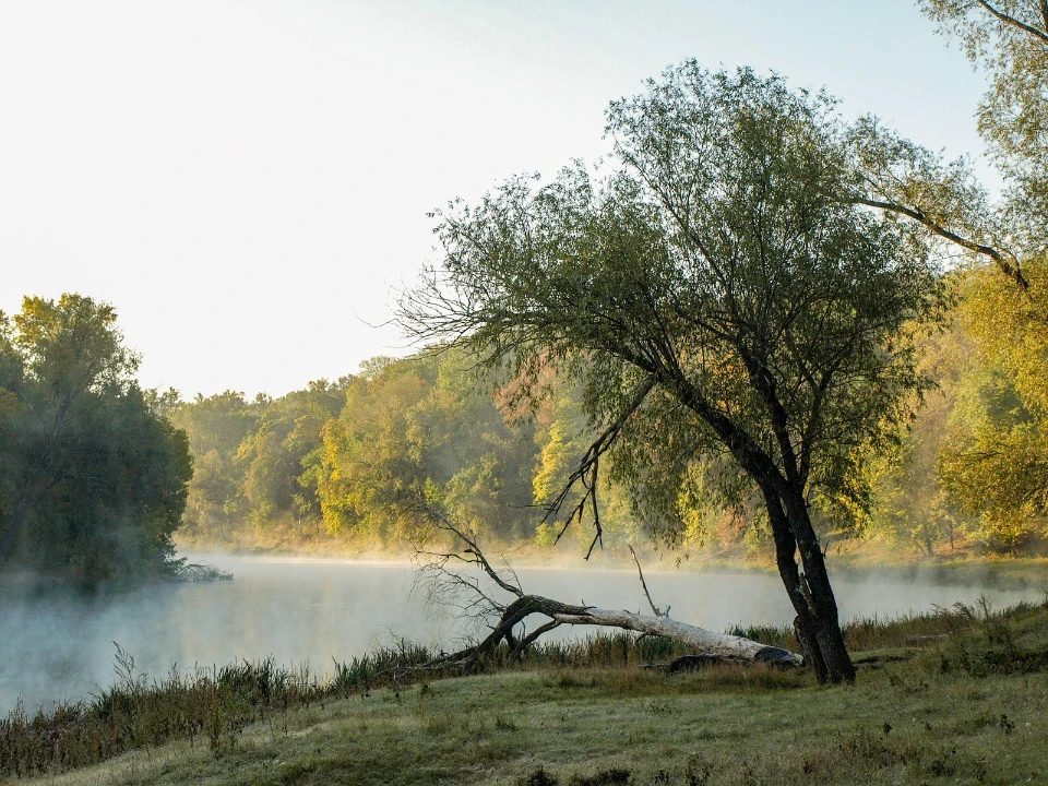 Фото: Влад Дубров