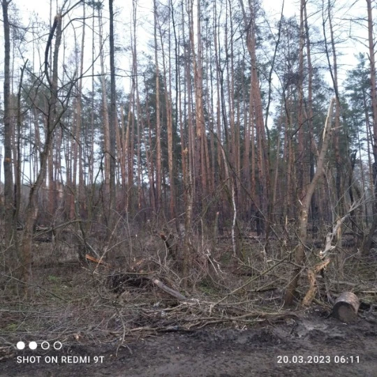 Фото: Otto Hans Wolf 