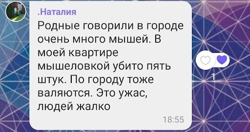 Фото: ТРИБУН