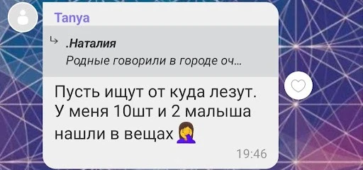 Фото: ТРИБУН