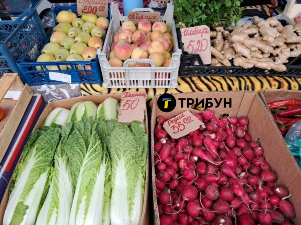 Фото: ТРИБУН