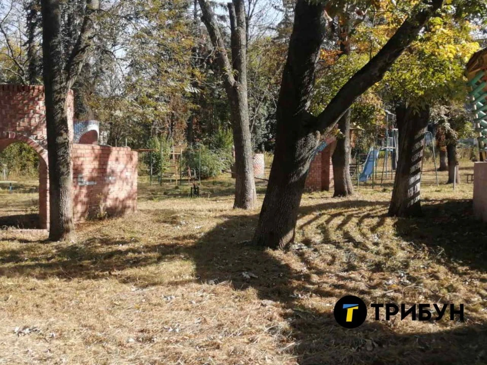 Парк, що знаходиться поруч з Палацом культури ім. Володимира Сосюри в тимчасово окупованому Лисичанс