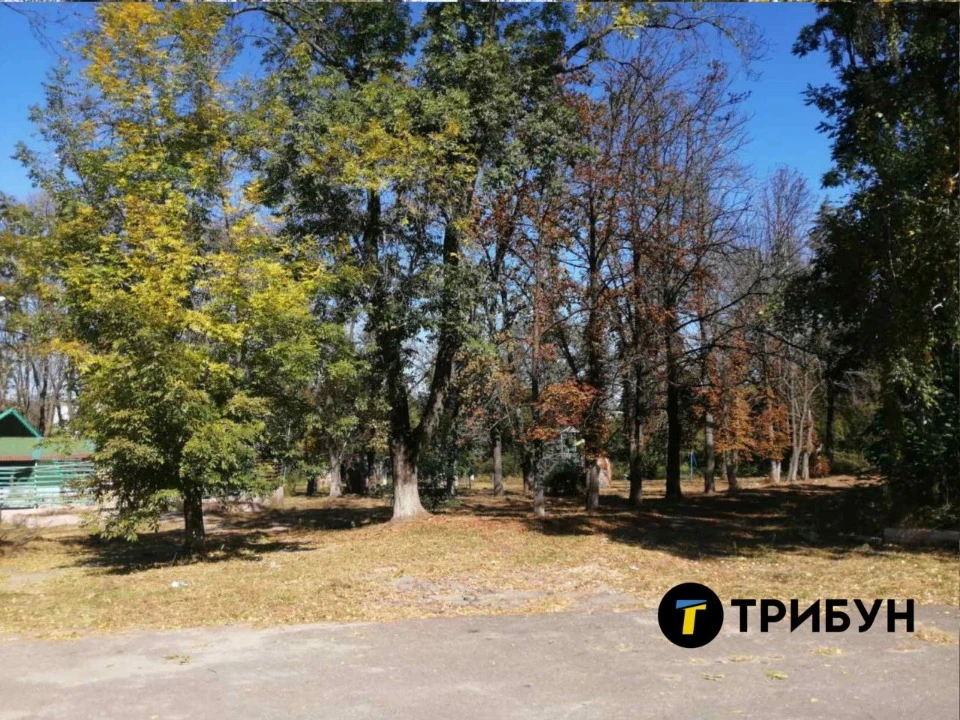 Парк, що знаходиться поруч з Палацом культури ім. Володимира Сосюри в тимчасово окупованому Лисичанс