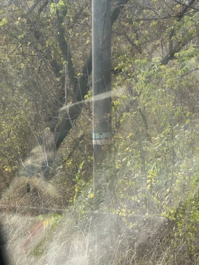 Акція українських активістів руху Жовта стрічка: листівка з написом