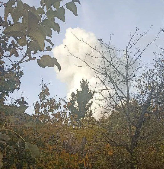 Фото: ТРИБУН