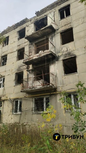 Фото: ТРИБУН