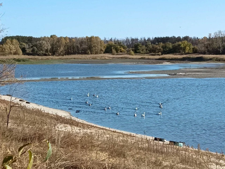 Фото: ТРИБУН