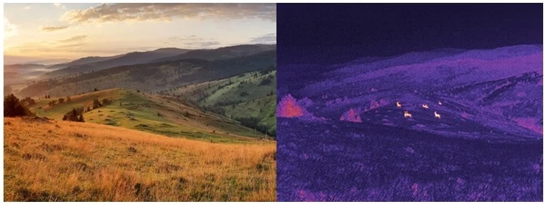 Особливості тепловізійних прицілів HikMicro