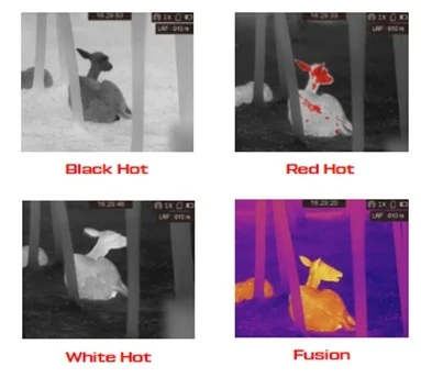 Застосування тепловізійних прицілів HikMicro