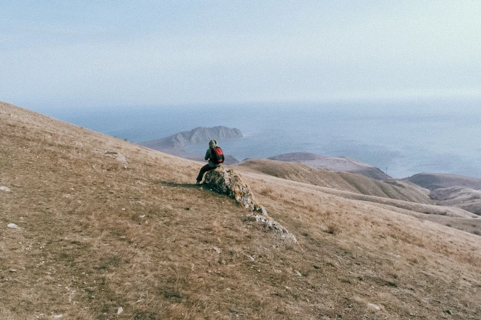 Крим та Донеччина до повномасштабного