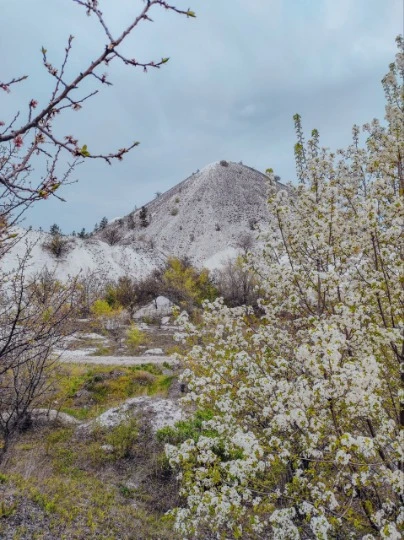 Крим та Донеччина до повномасштабного