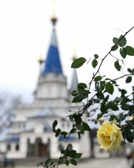 святогірськ