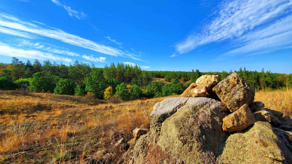 Man-made forest of German Mennonites. Fedorivka (Friedrichstal), Donetsk region / Photo: Oleksandr M
