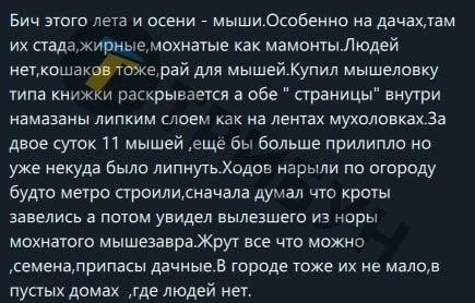 Повідомлення про мишей