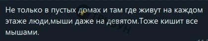 повідомлення про мишей