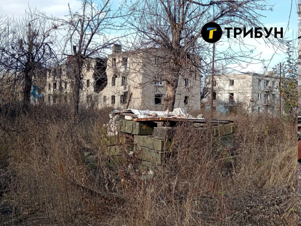 Фото: ТРИБУН