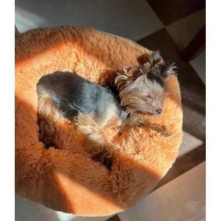 ліжак для собаки