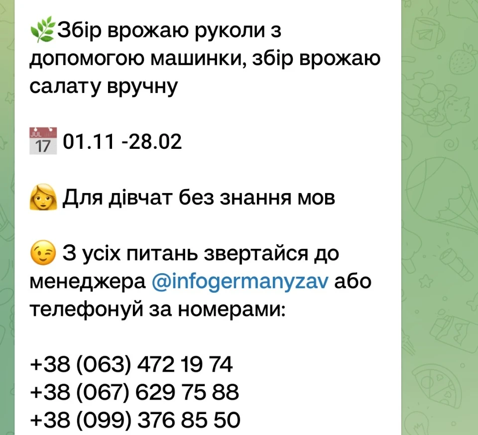 Вакансії в Німеччині без знання мови