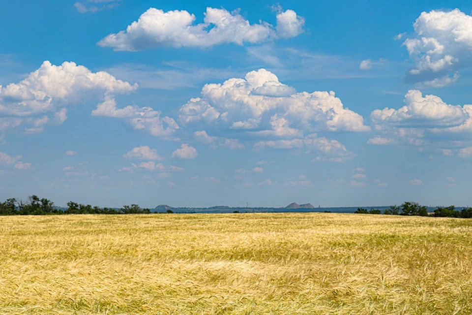 Деякі з фото, що були представлені під час заходу/Вячеслав Непран