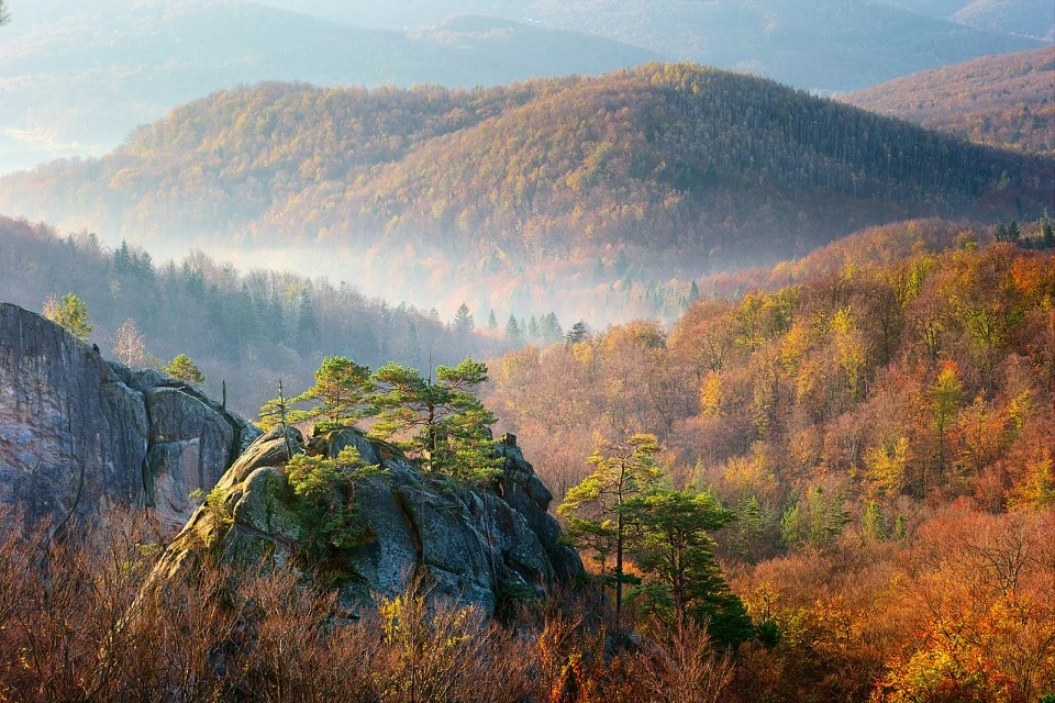 Скелі Довбуша