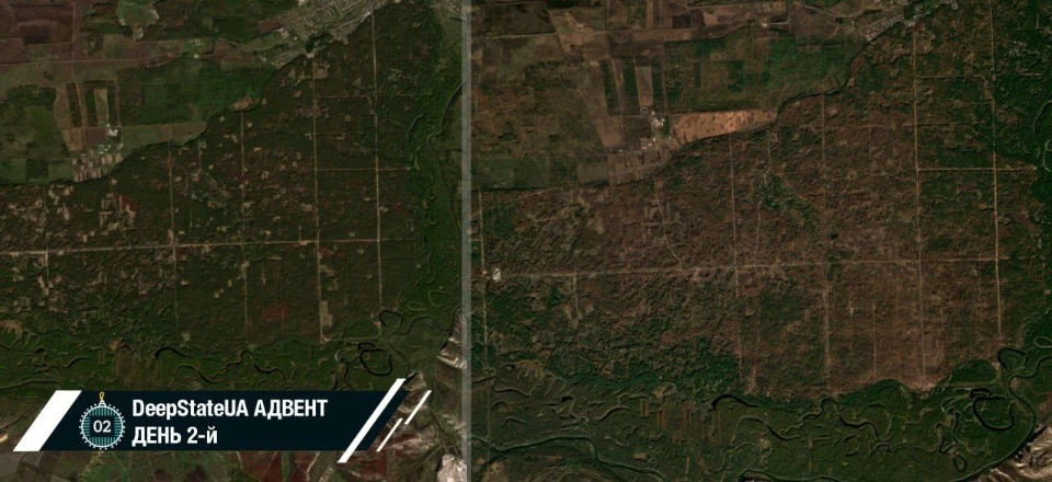 Серебрянськиий ліс в жовтні 2022 та 2023 років