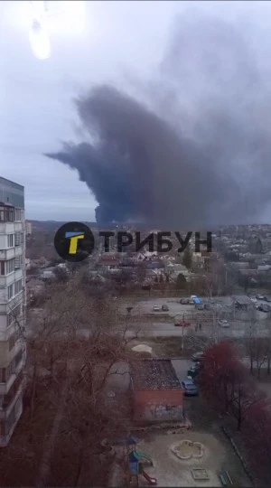 Фото: ТРИБУН