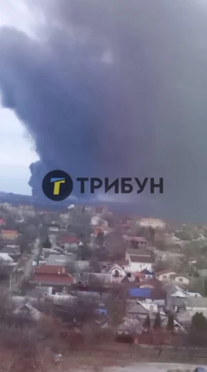 Фото: ТРИБУН