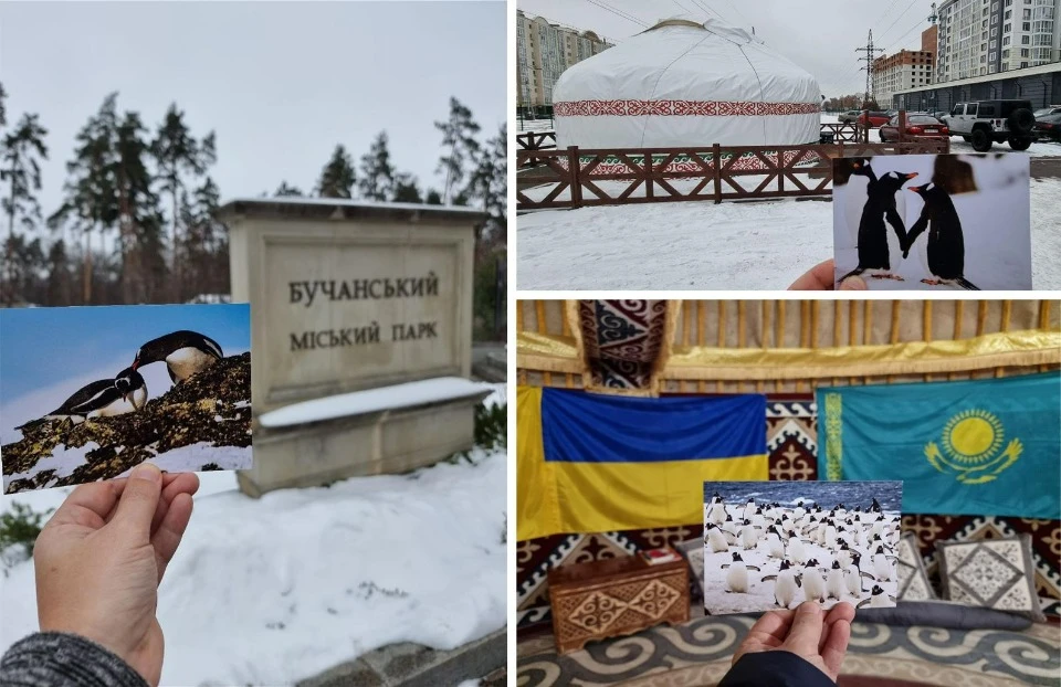 листівки незламності/Сергій Глотов