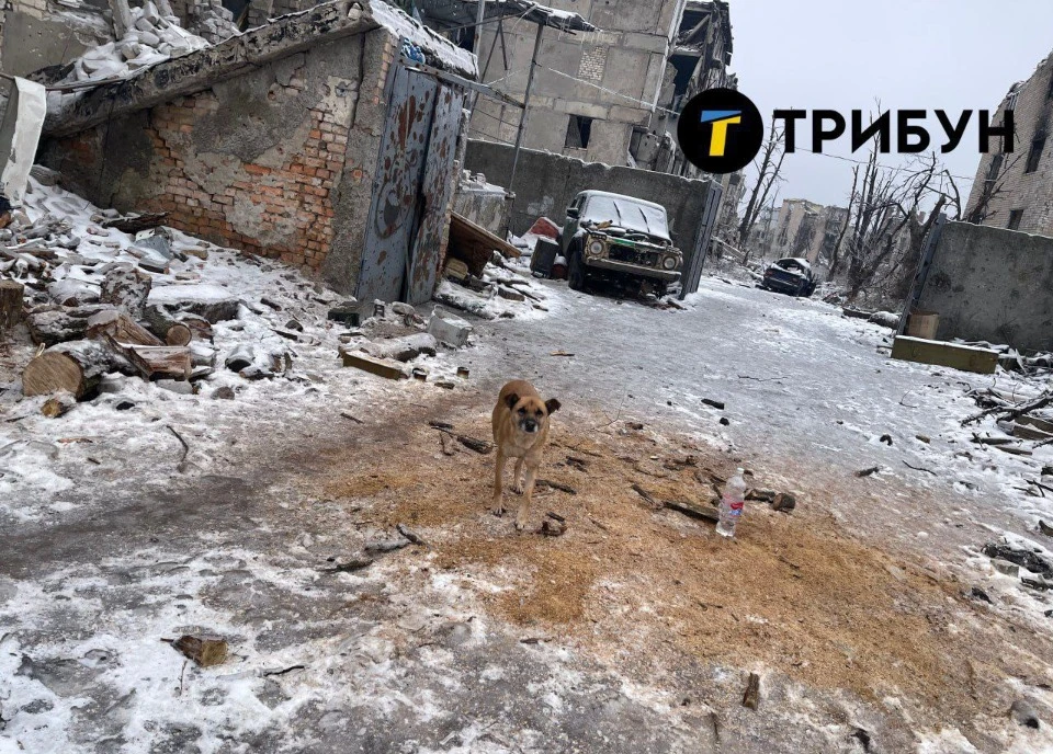 Окупований Бахмут, центр уїзду, сьогодні має такий вигляд