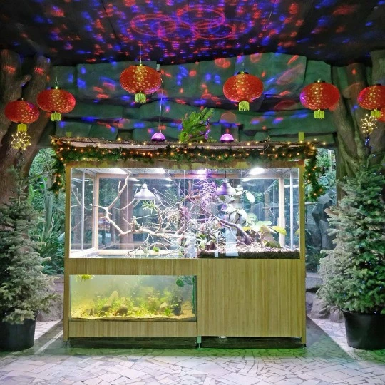 Шоломоносні василіски