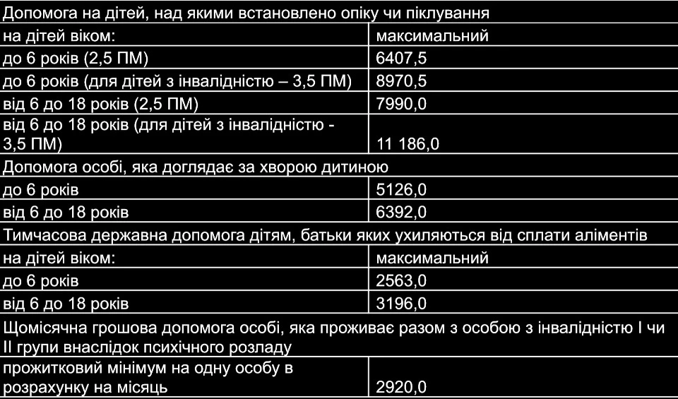 державна допомога в 2024 році