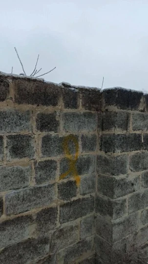 Жовта стрічка, Донеччина