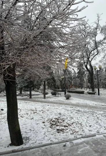 Жовта стрічка, Донеччина