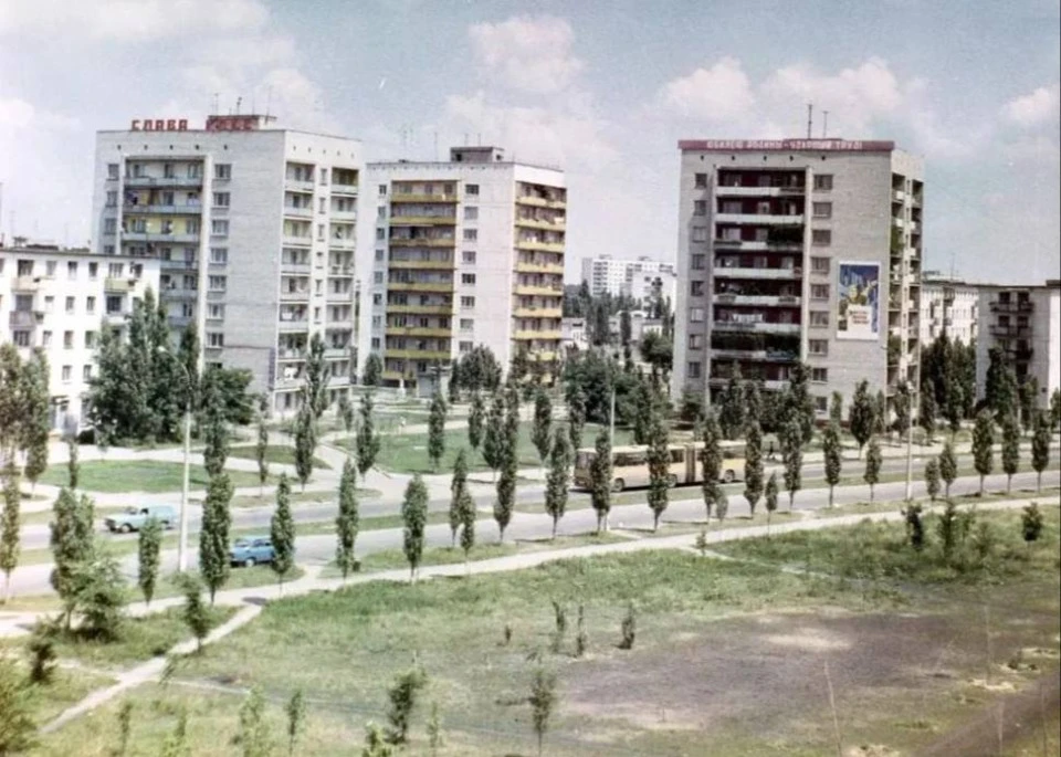 Озеленення Сєвєродонецька